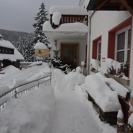 Haus Sommerberg Ξενοδοχείο Feldberg (Baden-Wurttemberg)