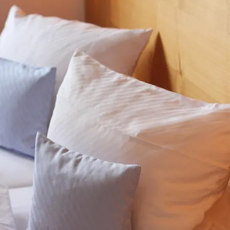 Haus Sommerberg Hotell 3*