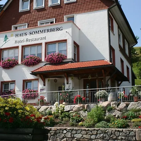 Haus Sommerberg 3* Feldberg (Baden-Wurttemberg)
