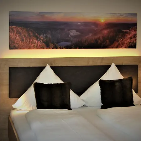 Haus Sommerberg Feldberg (Baden-Wurttemberg)