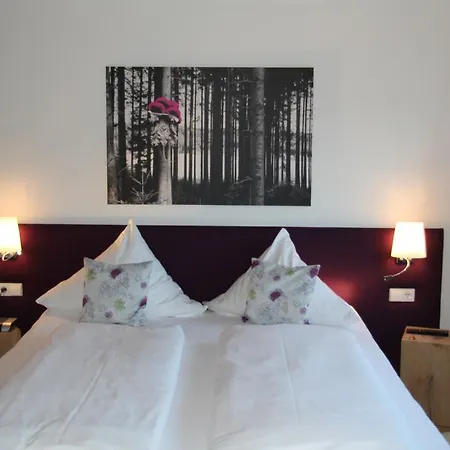 Haus Sommerberg 3* Feldberg (Baden-Wurttemberg)